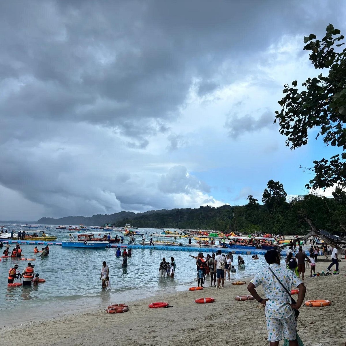 Elephant Beach Gallery